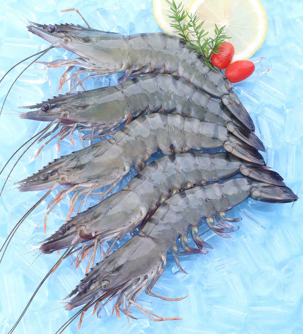 Raw Head On Shell On (HOSO)