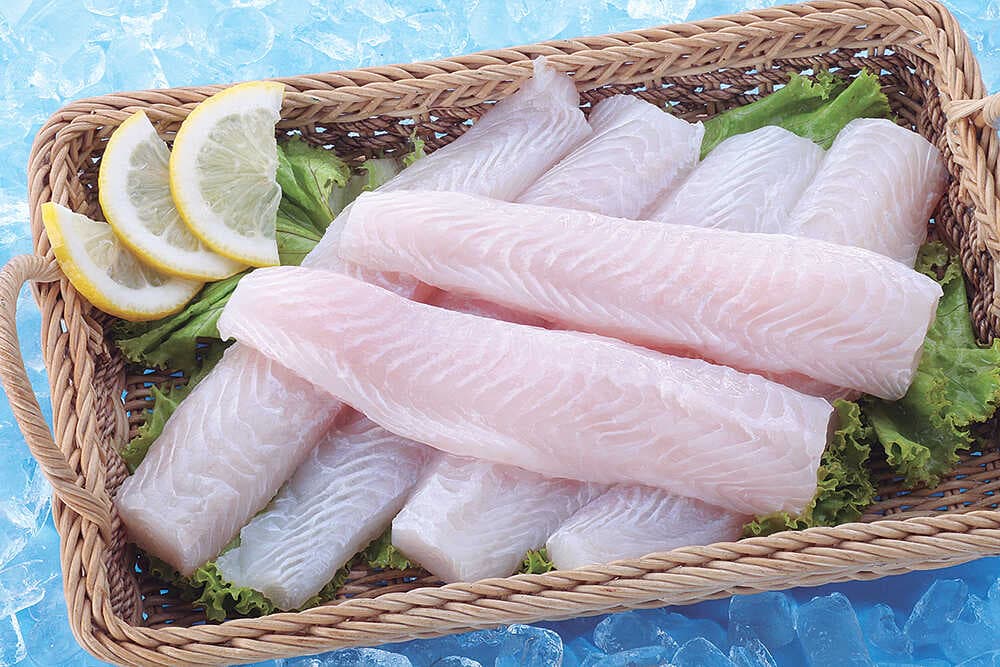 Pangasius Loin