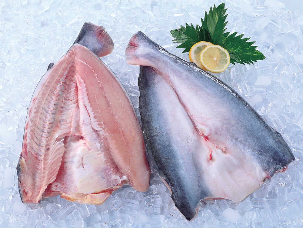 Pangasius Butterfly
