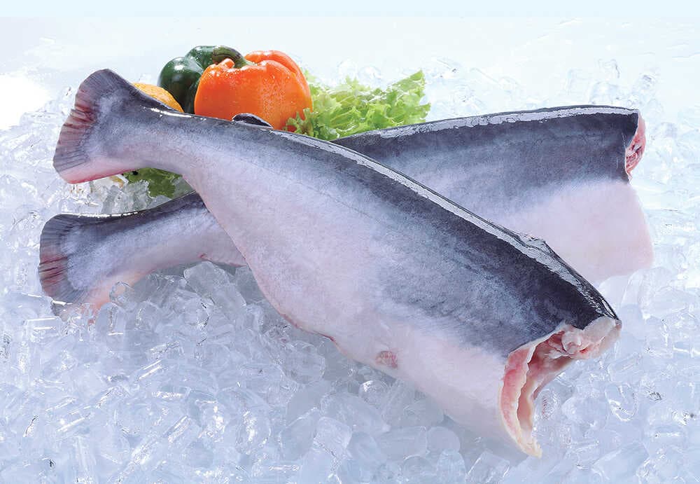 Pangasius HGT (headed and gutted)