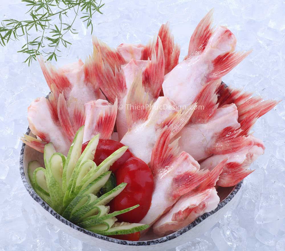 Pangasius Fin